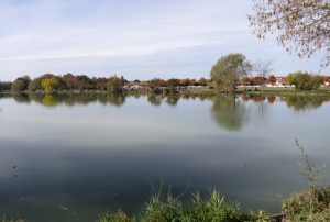 hommage_remi_fraisse_Plaisance-du-Touch_25102015i