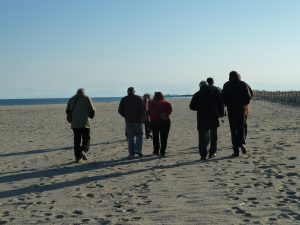 Fragile lido à leucate Plage