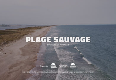 Découvrez notre court-métrage « Plage Sauvage » !
