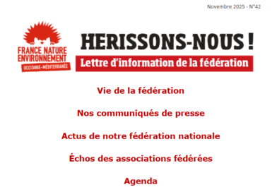 Hérissons-nous ! Notre lettre d’info n°42 – novembre 2025