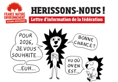 Hérissons-nous ! Notre lettre d’info n°43 – janvier 2026