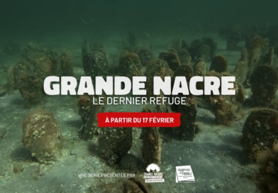 Découvrez le premier épisode de notre mini-série « Grande Nacre : Le Dernier Refuge »